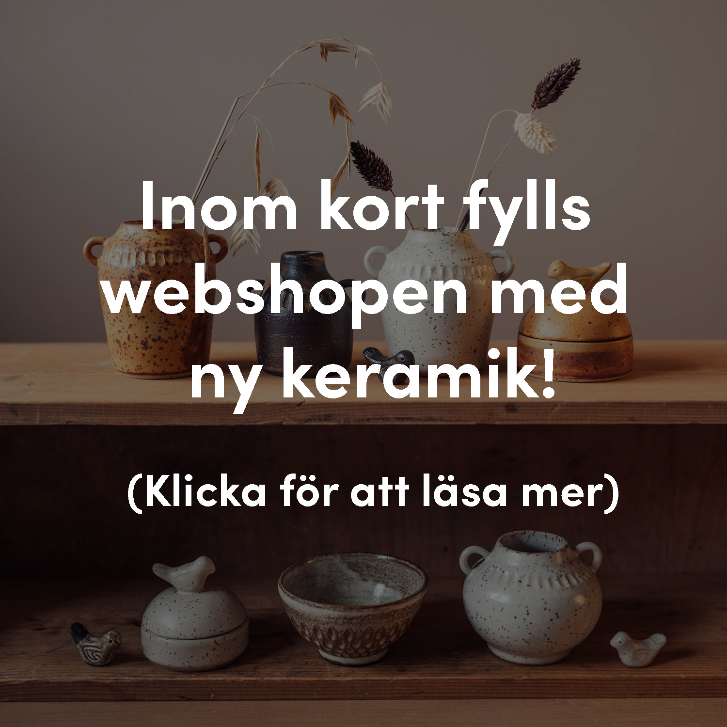 Ny uppdatering!